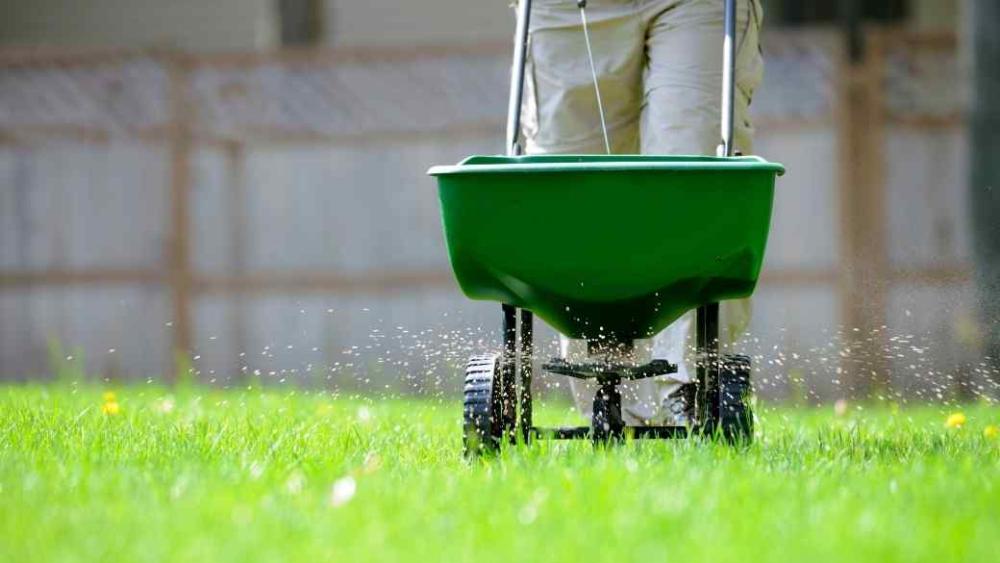 A person using a spreading fertilizer to feed their lawn.