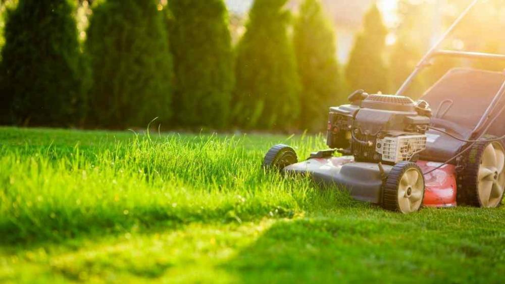 A lawn mower cutting grass in a residential lawn.