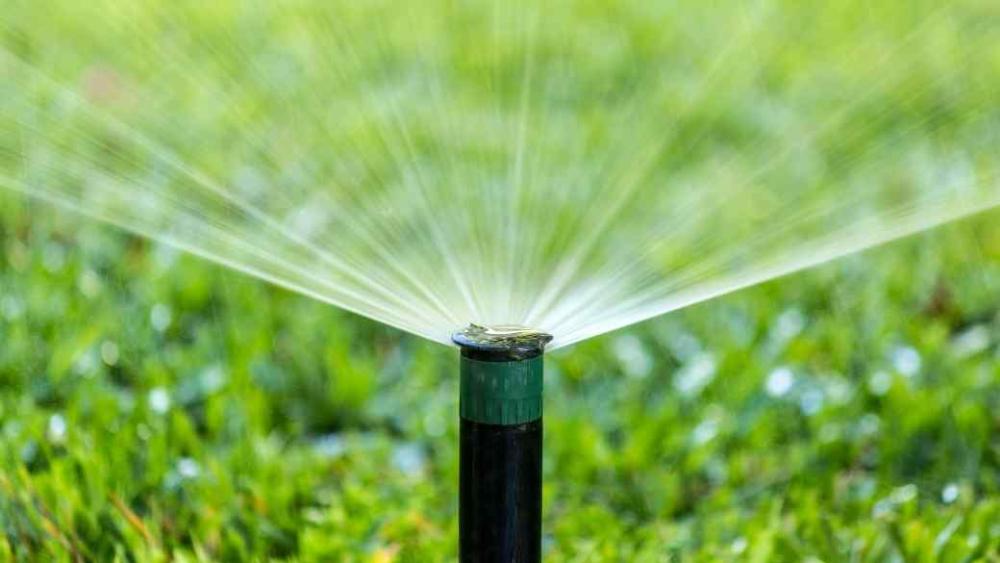 A sprinkler head spraying water onto a green lawn.