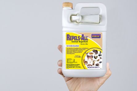 Flying Insect Control Products