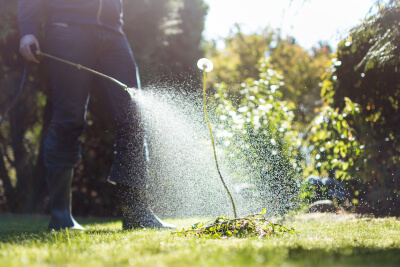 Weed Killer