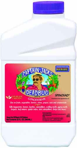 Captain Jack's Dead Bug Brew Concentrate 32 oz (#253)