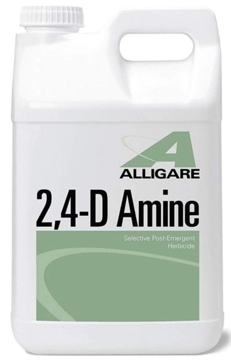  2,4-D Amine - Gallon