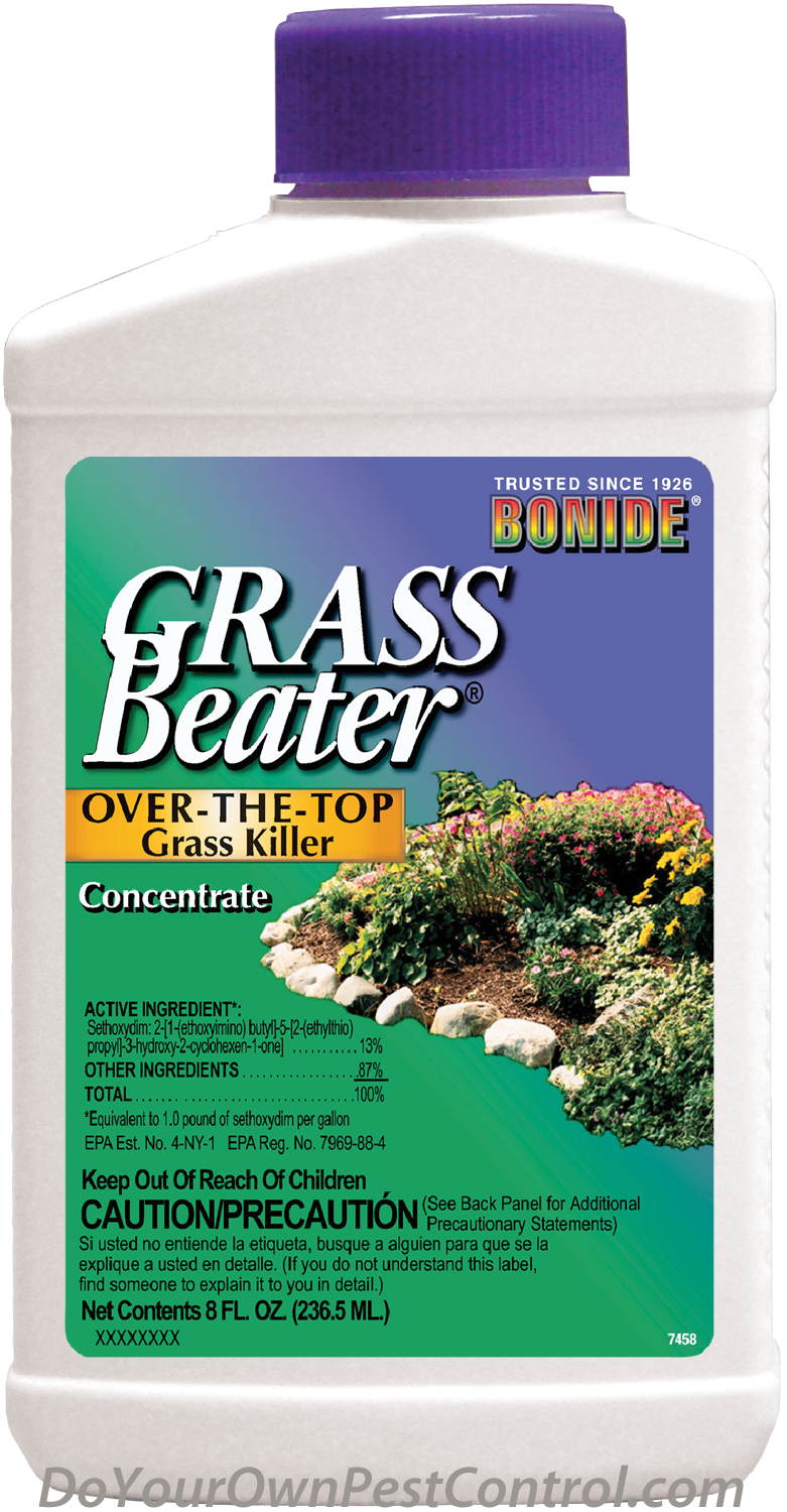 Bonide Grass Beater Over The Top Grass Killer Concentrate