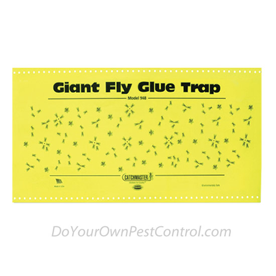 Catchmaster 948 Fly Glue Trap w/ Attractant-Single Board