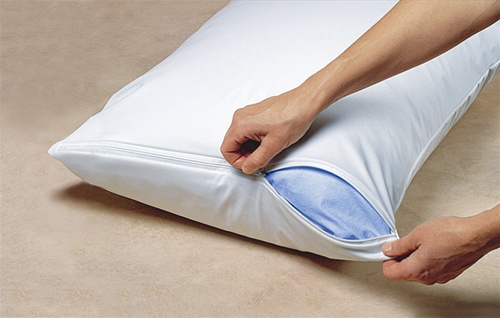 Mattress Safe - PillowSafe Protector - Queen
