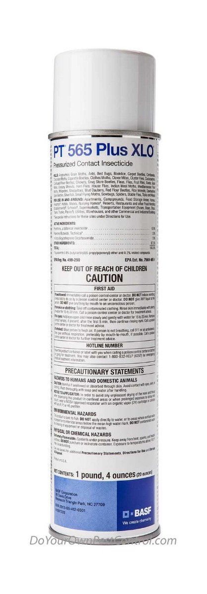 PT 565 Plus XLO Contact Insecticide-20 oz