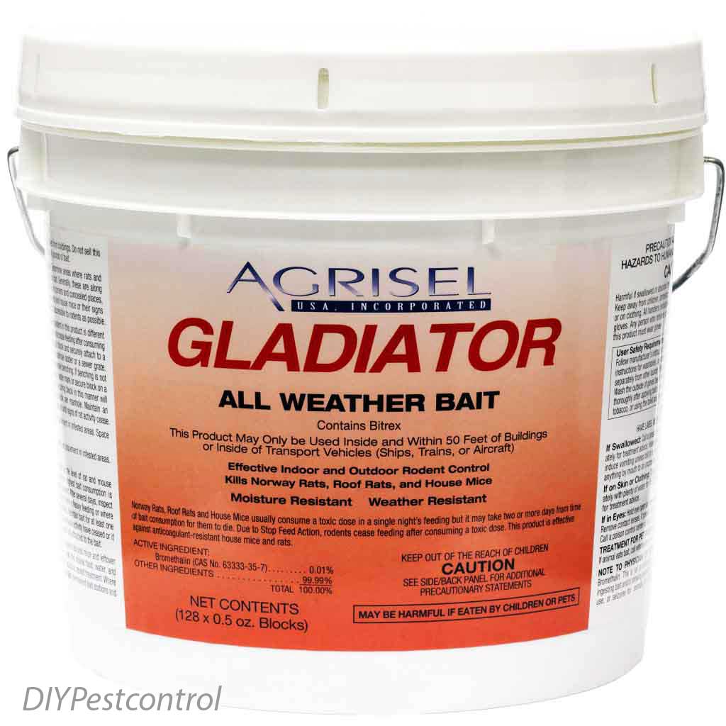Gladiator All Weather Blox- 4 lbs