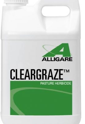  Cleargaze 1/2 Gallon
