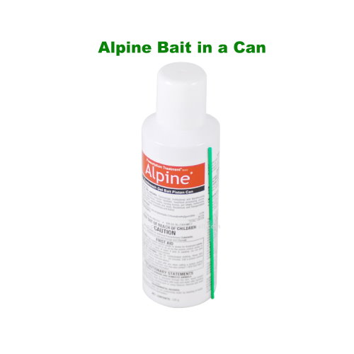 Alpine Cockroach Gel Bait Piston Can