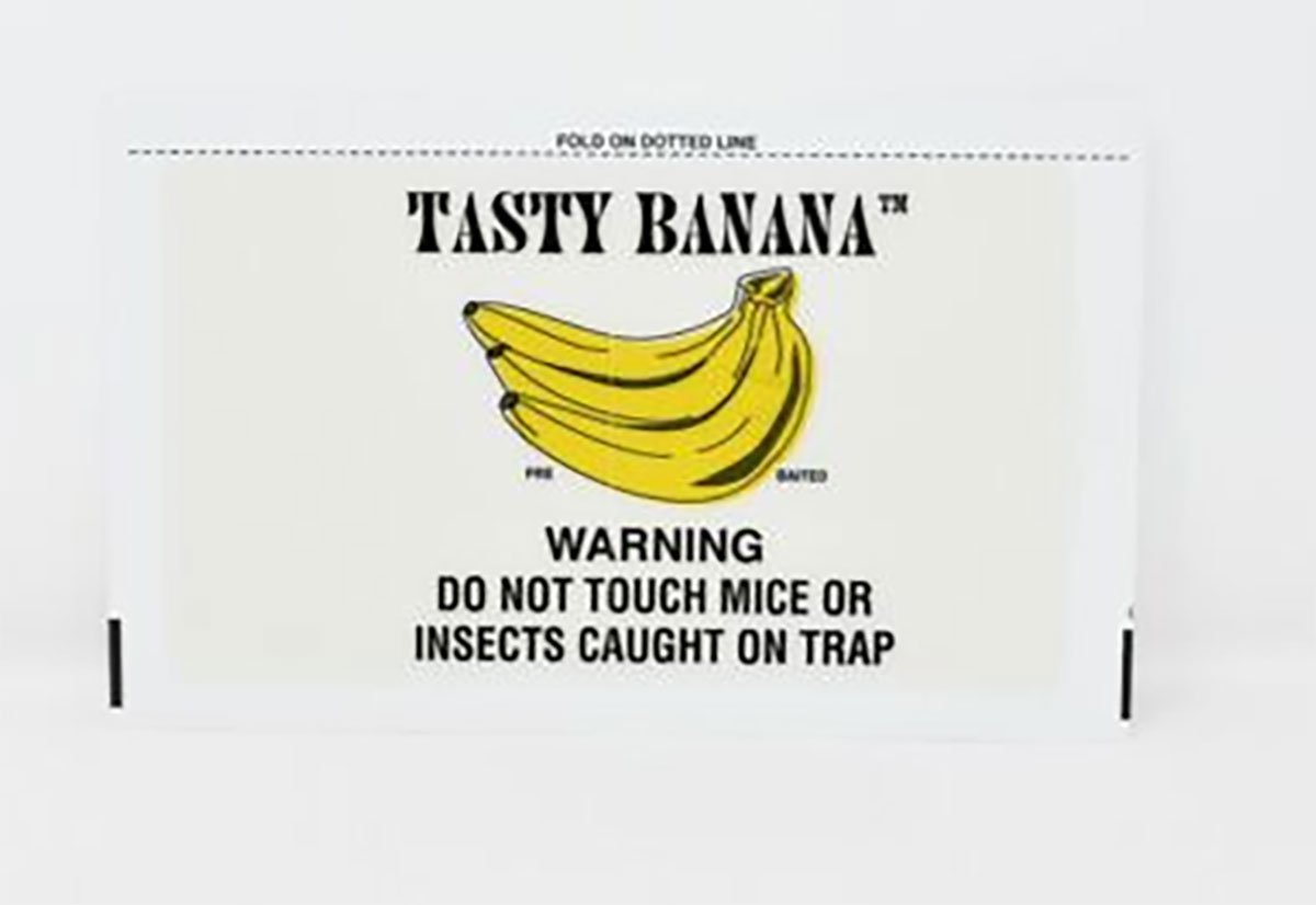 Catchmaster Tasty Banana Glue Boards (Box of 72 singles)