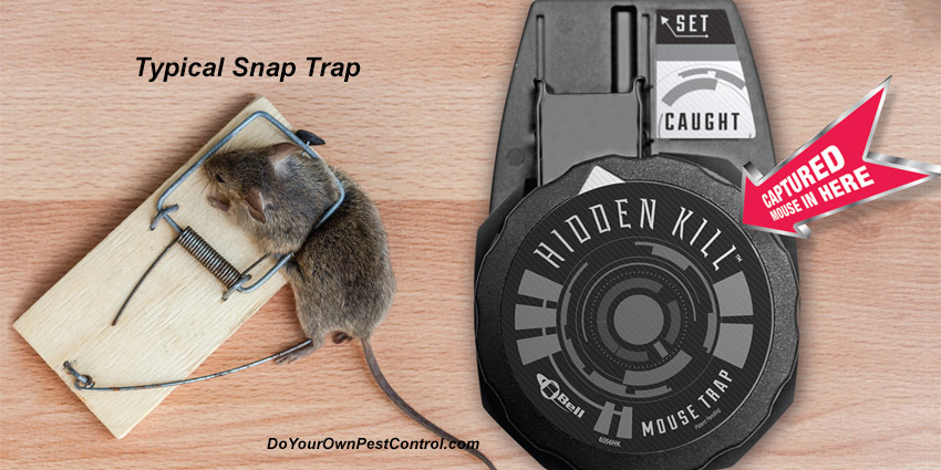 Trapper Hidden Kill Mouse Trap