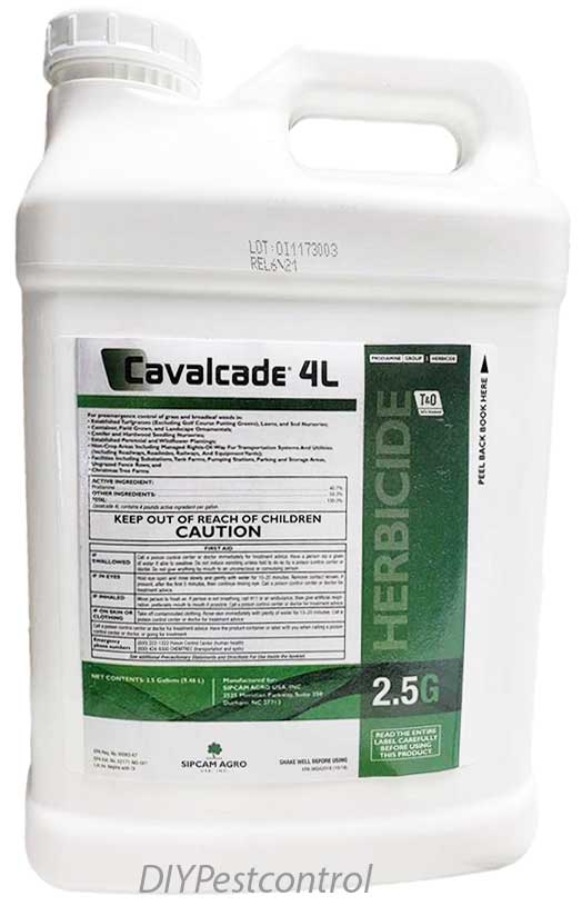Cavalcade 4L 2.5 Gal