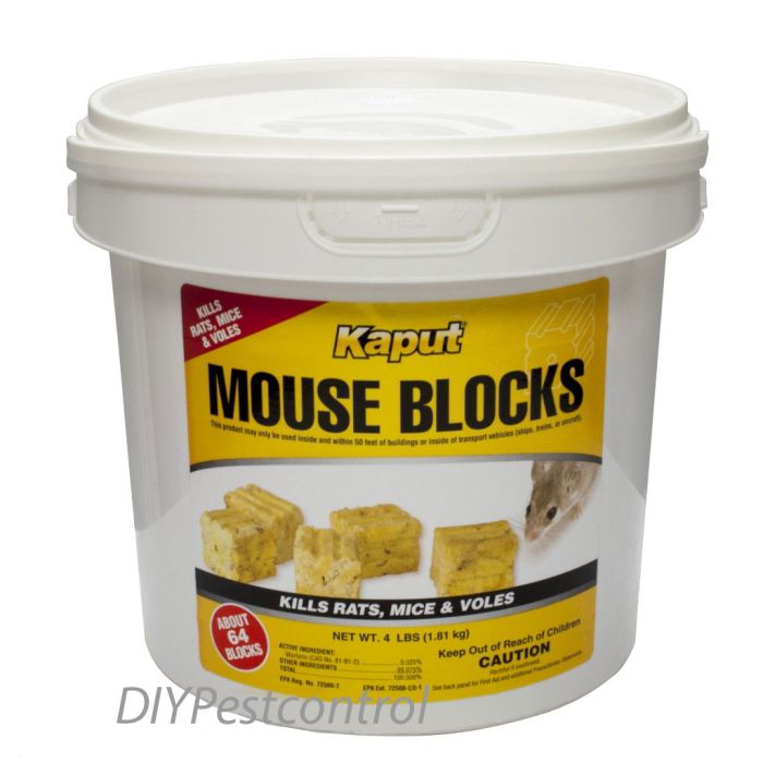 Kaput Mouse Blocks- 4lbs