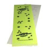 Catchmaster 924 Replacement Glue Boards