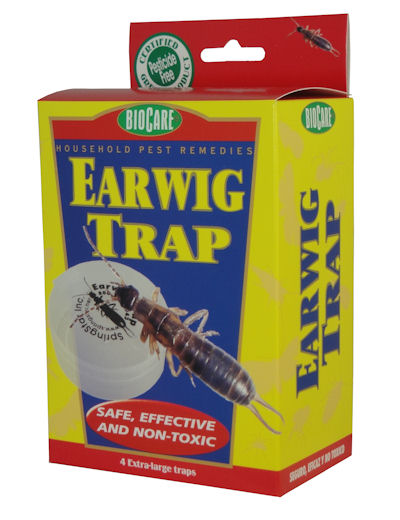 Springstar Biocare Earwig Trap
