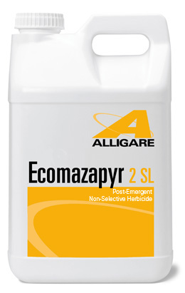 Ecomazapyr 2 SL (Gallon)