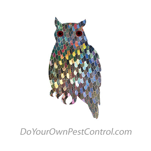 Guardian Holographic Owl