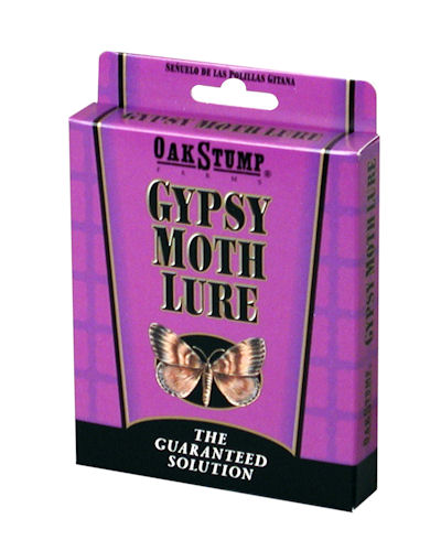 Oakstump Gypsy Moth Lure