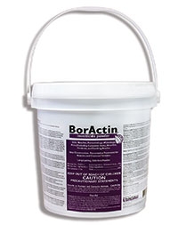 Boractin Insecticide Powder  - 5 lb