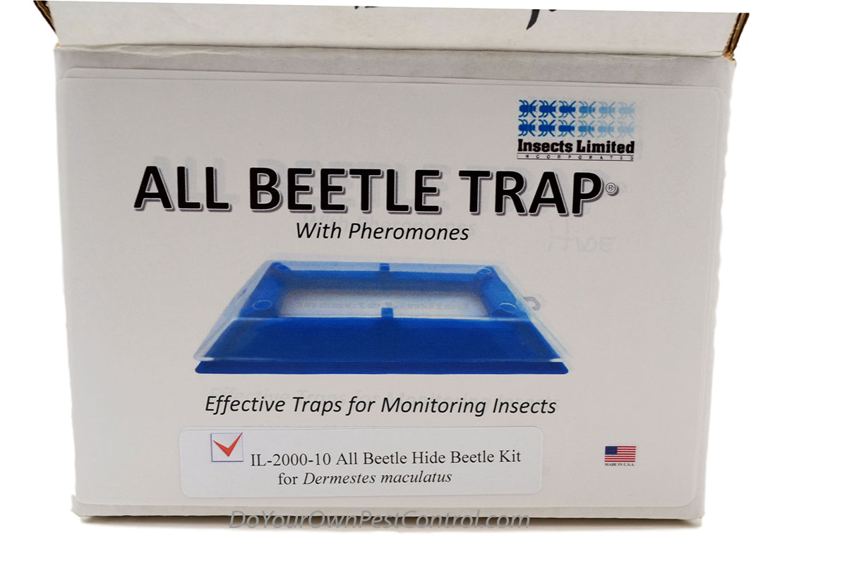 All Beetle Hide Beetle Kit