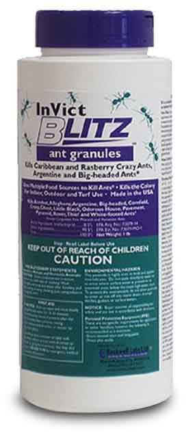 Invict Blitz - 1 lb shaker bottle