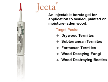 Jecta Gel Diffusible Boracide