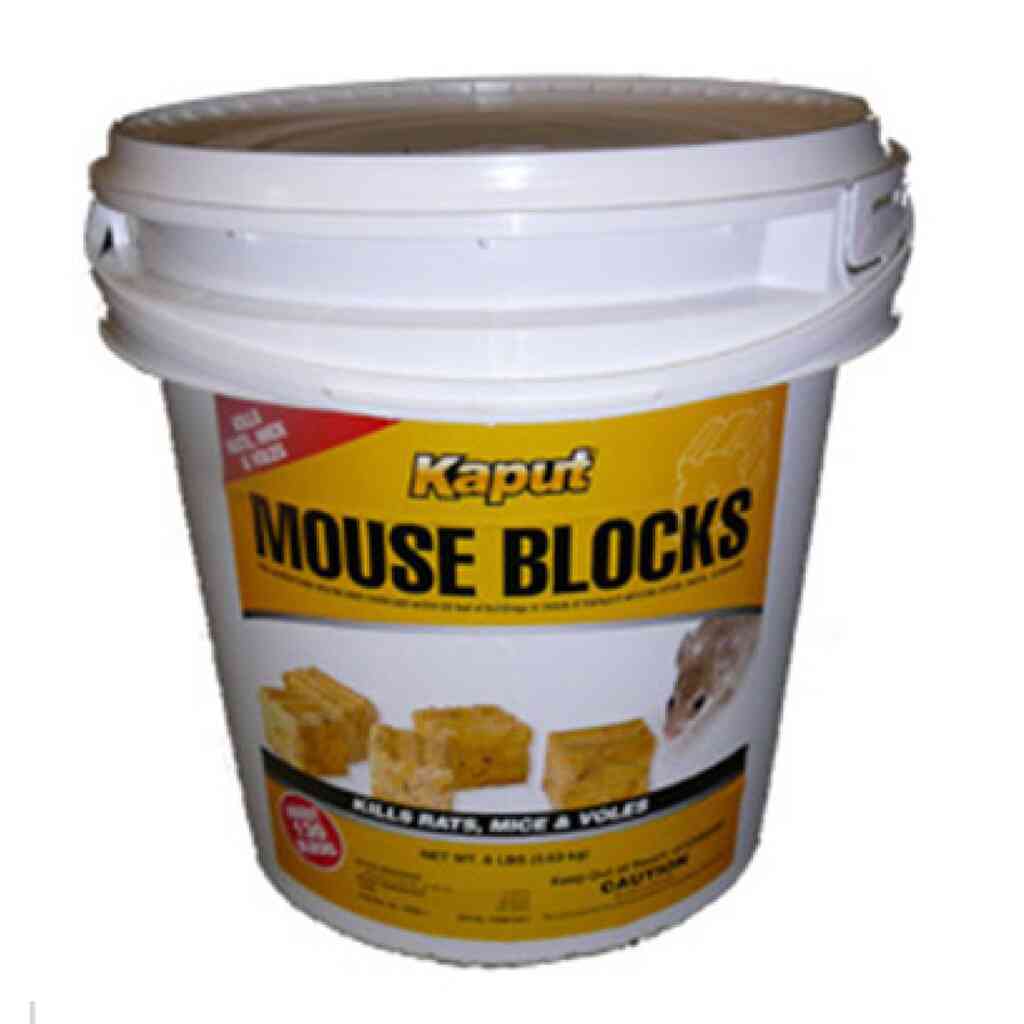 Kaput Mouse Blocks (8 lbs)