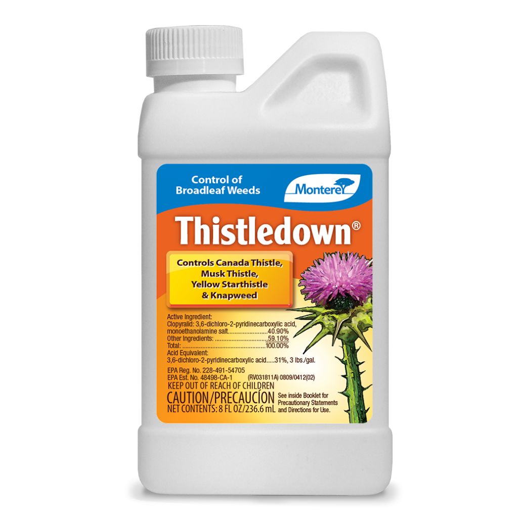 Thistledown