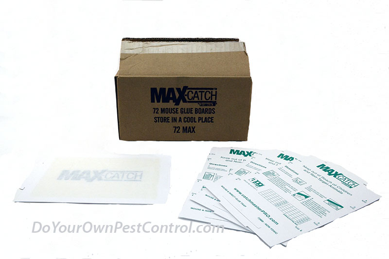 Catchmaster 72 Max Catch  Mouse Glue Boards