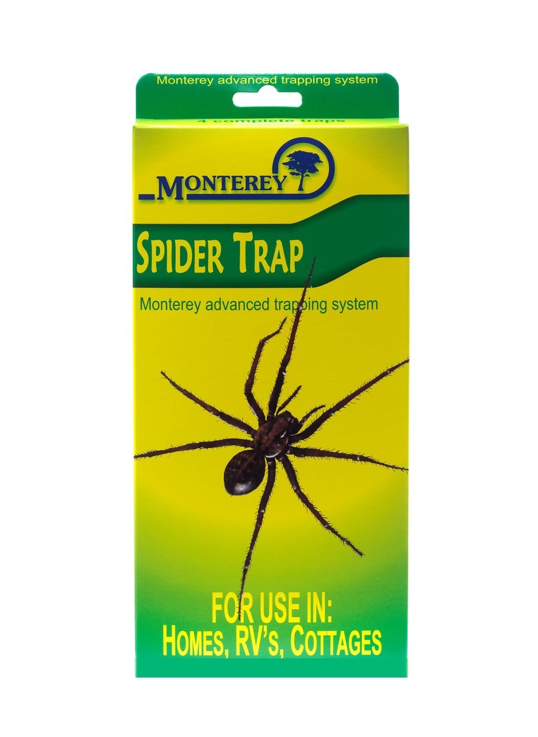 Monterey Spider Traps