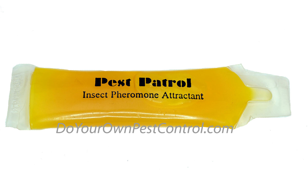 Pantry Patrol Pheromone Gel Attractant Replacement 
