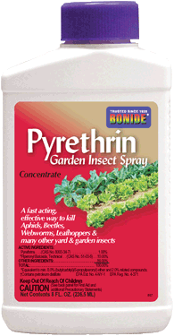 Bonide Pyrethrin Concentrate Garden Insect Spray-16 oz