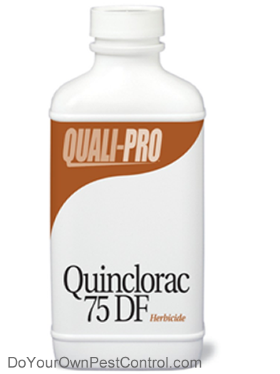Quinclorac 75 DF Herbicide