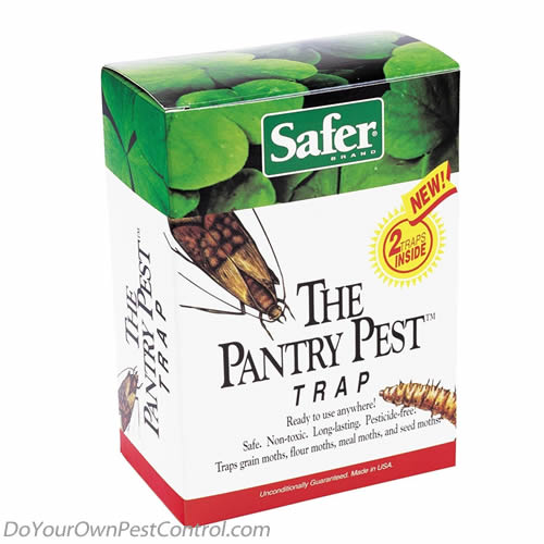 The Pantry Pest Trap (Safer Brand)