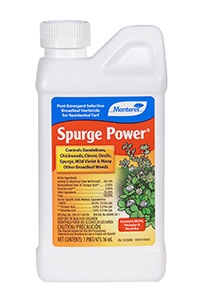 Spurge Power 16 oz