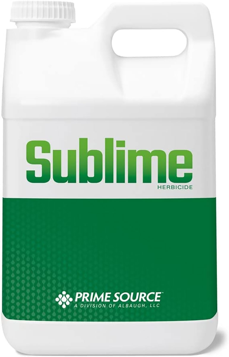 Sublime ( Gal )