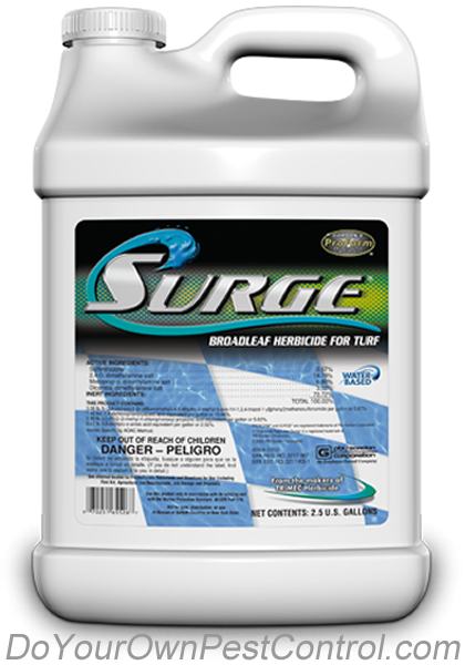 Surge Broadleaf Herbicide for Turf - (Gallon)