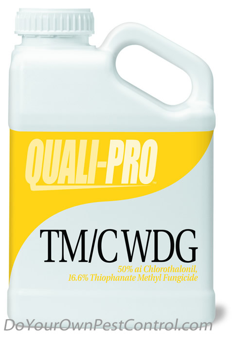 Quali-Pro TM/C WDG 
