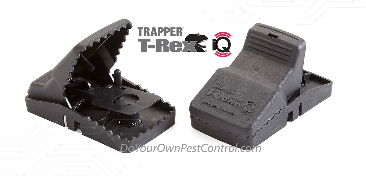 Trapper T Rex IQ  (Box of 6)