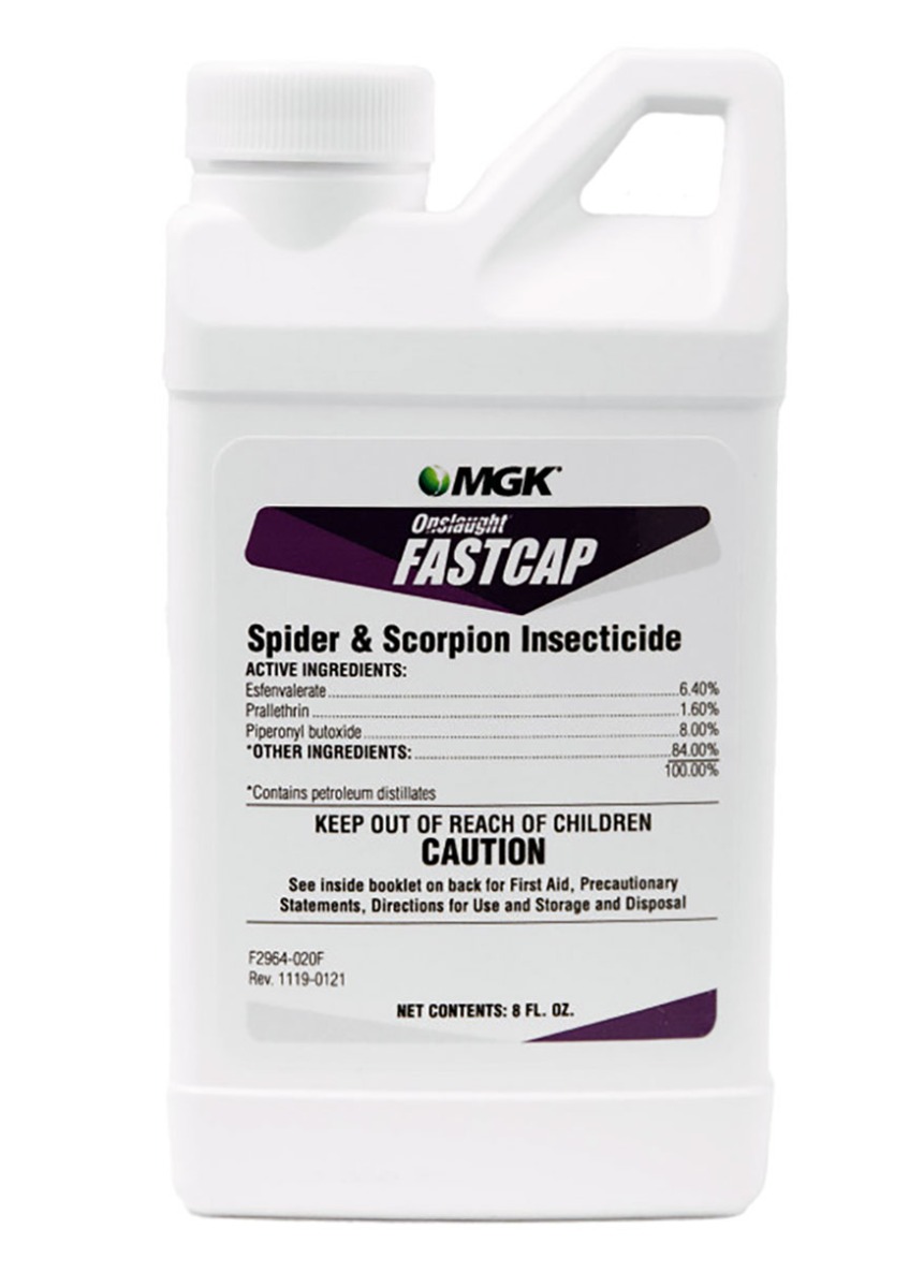Onslaught FastCap Spider and Scorpion Insecticide (8 oz)
