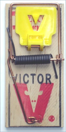 Victor Mouse Snap Trap M325 (Case of 72 Traps)
