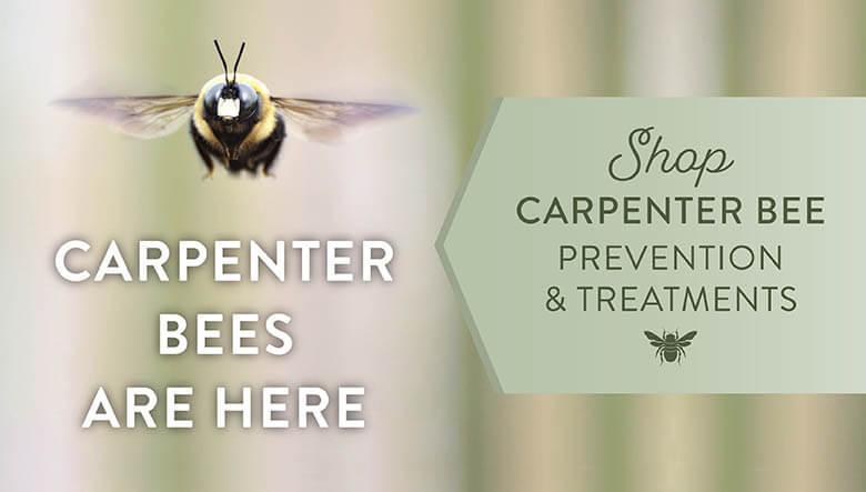 Carpenter Bee Products