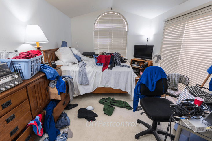 Cluttered bedroom