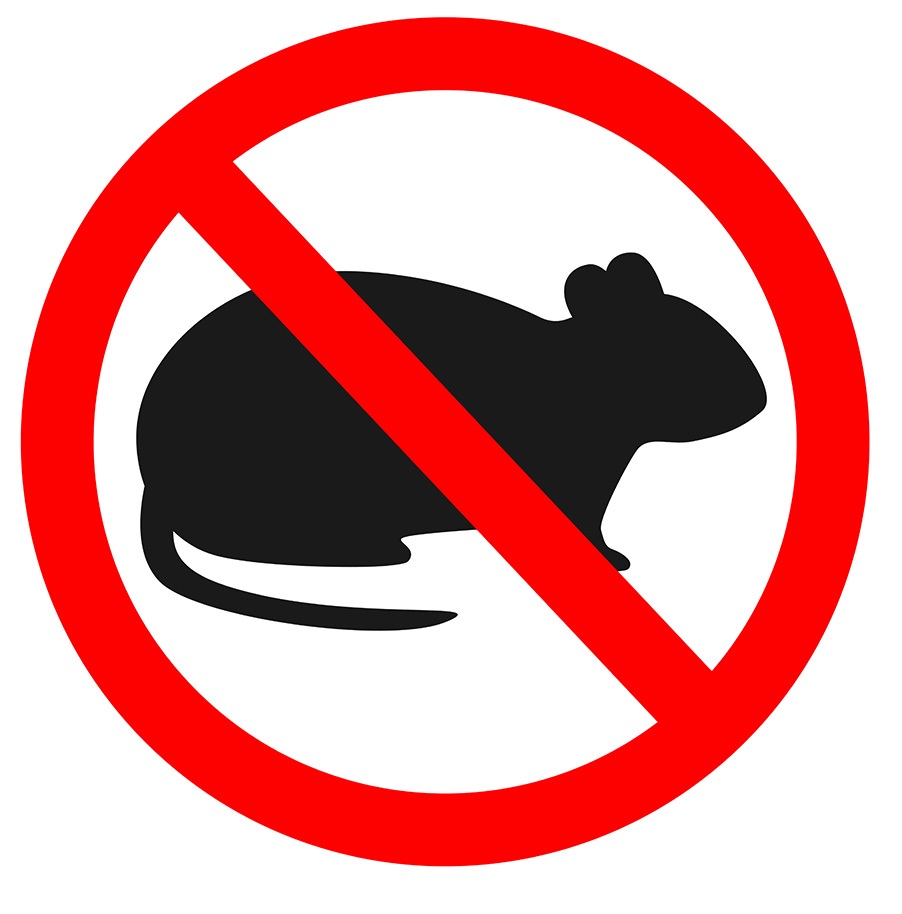 no rodent sign